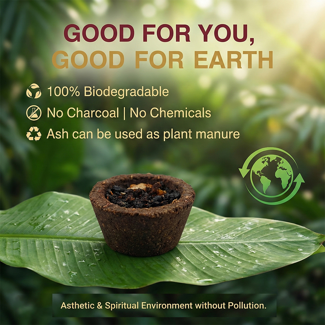 havan cups havan cups