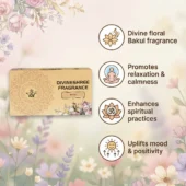 Bakul Incense Cones 1