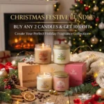 Christmas Festive Bundle
