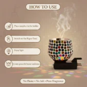 Kapur Dani with Light Lamp 1
