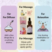 Lavender Essential Oil 2