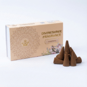Best Panchtatva Incense Cones