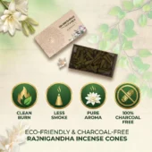 Rajnigandha Incense Cones 5
