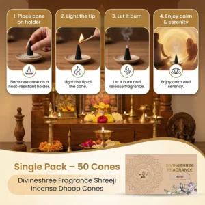 Shreeji Incense Cones 1
