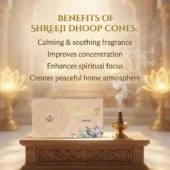 Shreeji Incense Cones 2