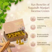 Sugandh Manjari Incense Cones 1