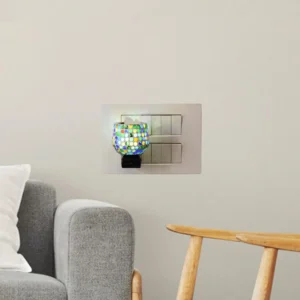 Kapur Dani with Light Lamp