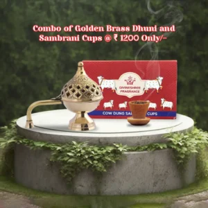 Divineshree Natural Beauty Products – enhance your routine with eco-friendly skincare essentials.