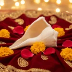 Dakshinavarti Shankh | Rare Right-Handed Conch Shell for Puja, Vastu & Prosperity
