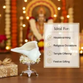 Dakshinavarti Shankh 5