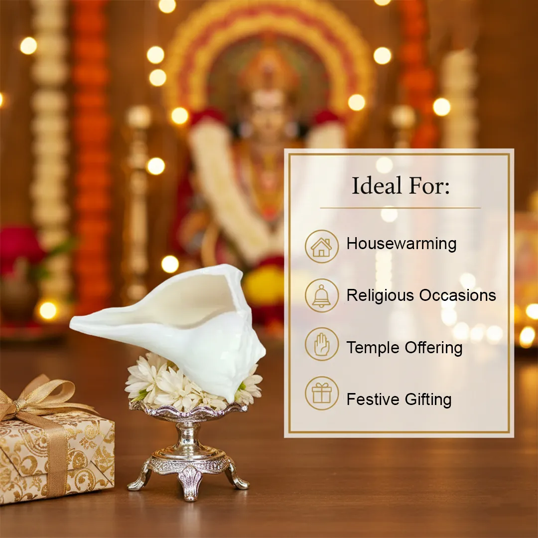 Dakshinavarti Shankh 5 Dakshinavarti Shankh 5