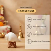 Natural Pure White Shankh 3