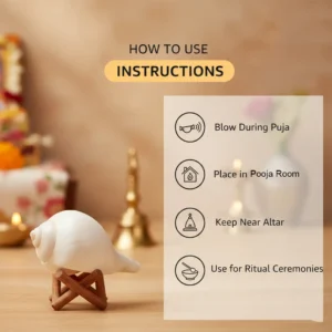 Natural Pure White Shankh 3