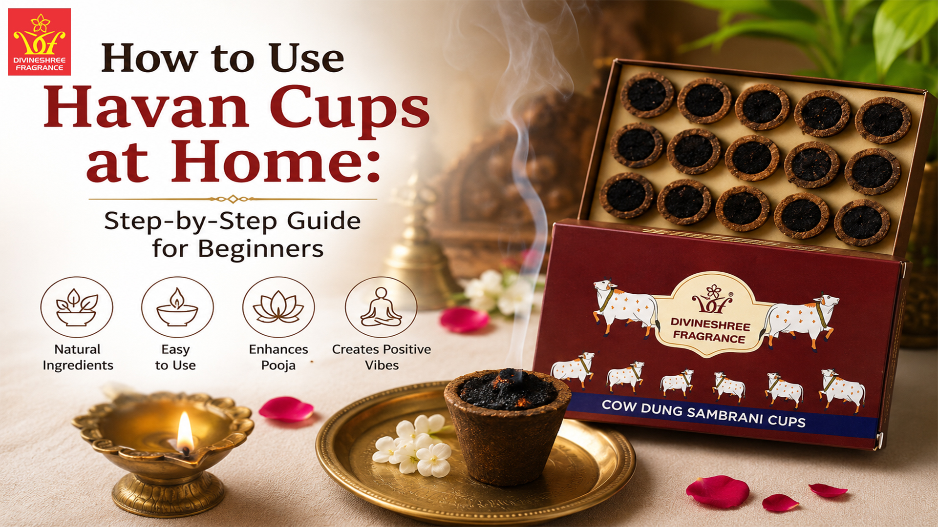 How to Use Havan Cups at Home: Step-by-Step Guide for Beginners